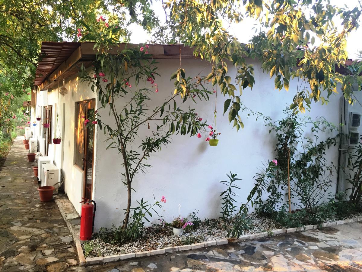 Utopia Lodge Hotel Oludeniz Exterior photo
